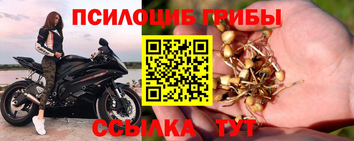 Азнакаево  Галлюциногенные грибы мицелий  Вход с VPN 